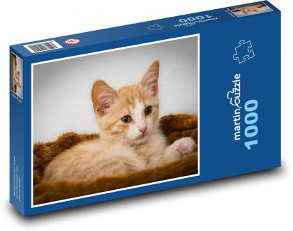 Kočka - Puzzle 1000 dílků, rozměr 60x46 cm
