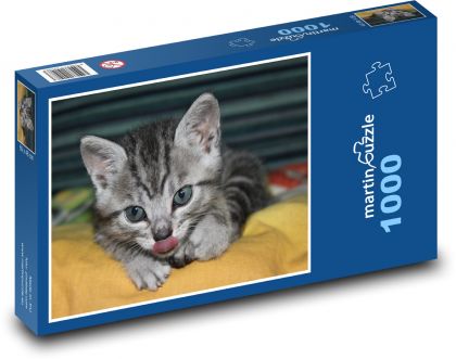 Koťátko plné zvědavosti - puzzle 1000 dílků