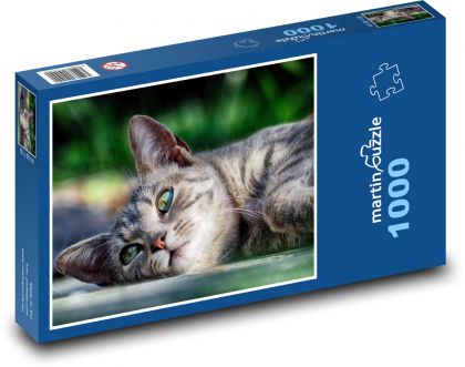 Katze - Puzzle 1000 pieces, size 60x46 cm 