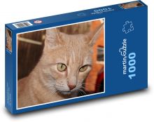 Katze Puzzle 1000 Teile - 60 x 46 cm
