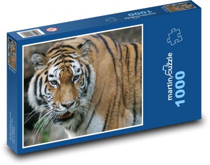 Irrepressible Tiger - Puzzle 1000 pieces, size 60x46 cm 