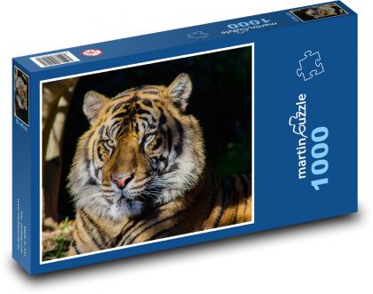 Tygr - Puzzle 1000 dílků, rozměr 60x46 cm