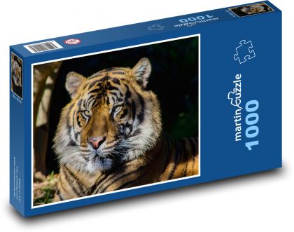 Ein im Schatten ruhender Tiger - Puzzle - 1000 Teile