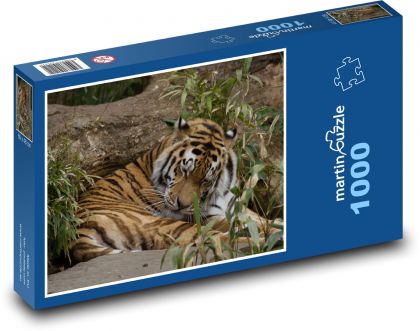 Tiger - Puzzle 1000 dielikov, rozmer 60x46 cm