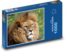 Lion Puzzle 1000 pieces - 60 x 46 cm 