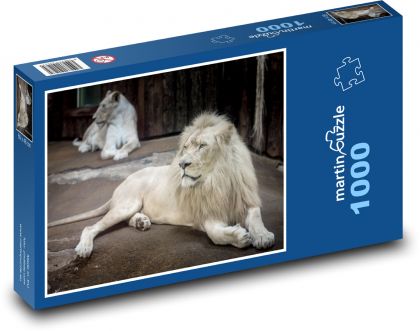 Majestát bílého lva - puzzle 1000 dílků