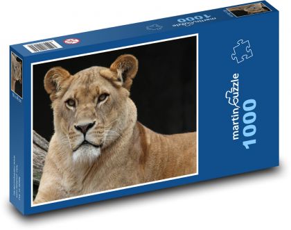 Czujna lwica w przyrodzie - Puzzle 1000 elementów, rozmiar 60x46 cm