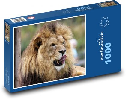Afrykański lew na wolności - Puzzle 1000 elementów, rozmiar 60x46 cm