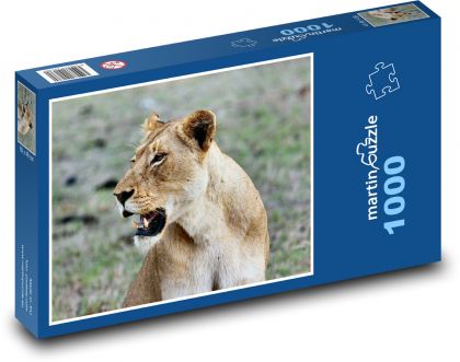 Afrikanische Löwin - Puzzle - 1000 Teile