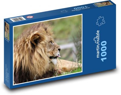 Lev - Puzzle 1000 dílků, rozměr 60x46 cm