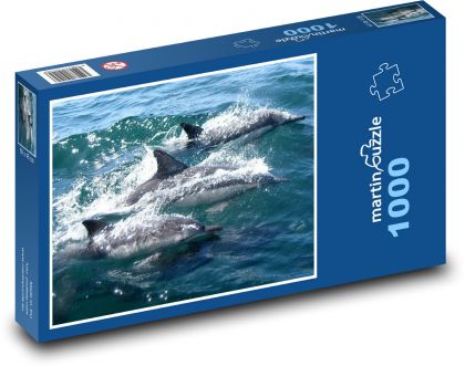 Delfín - Puzzle 1000 dílků, rozměr 60x46 cm