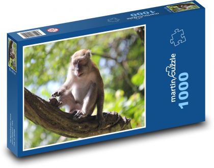 Opice - Puzzle 1000 dílků, rozměr 60x46 cm