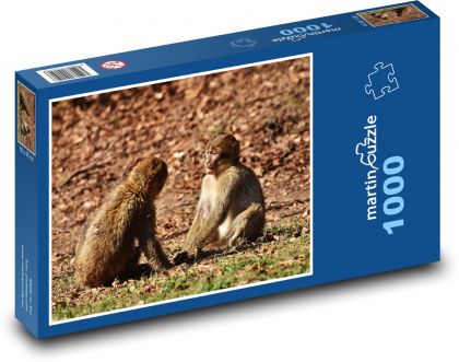 Dve opice v prírode - Puzzle 1000 dielikov, rozmer 60x46 cm