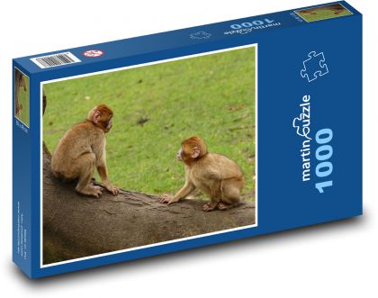 Opice - Puzzle 1000 dielikov, rozmer 60x46 cm