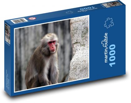 Opice v tichém zamyšlení - puzzle 1000 dílků