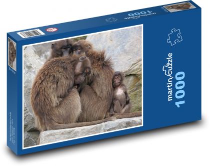 Rodzina śpiących małp - Puzzle 1000 elementów, rozmiar 60x46 cm