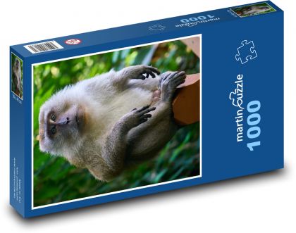 Opice - Puzzle 1000 dielikov, rozmer 60x46 cm
