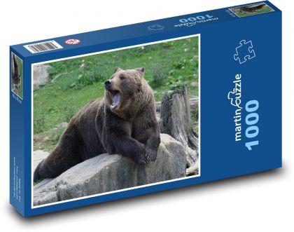 Medvěd hnědý - Puzzle 1000 dílků, rozměr 60x46 cm