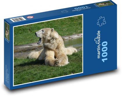 Medvěd bílý - Puzzle 1000 dílků, rozměr 60x46 cm