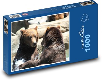 Medvěd - Puzzle 1000 dílků, rozměr 60x46 cm