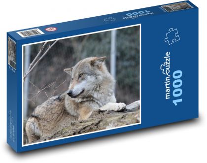 Wilk leżący w zoo - Puzzle 1000 elementów, rozmiar 60x46 cm