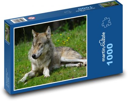 Vlk - Puzzle 1000 dílků, rozměr 60x46 cm
