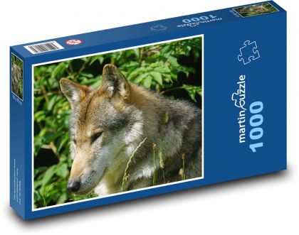 Wolf - Puzzle 1000 pieces, size 60x46 cm 