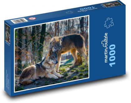 Wölfe im Wald - Puzzle - 1000 Teile