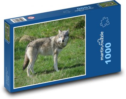 Vlk - Puzzle 1000 dílků, rozměr 60x46 cm