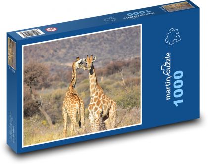 The giraffe family on the savanna - Puzzle 1000 pieces, size 60x46 cm 