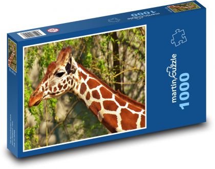 Žirafa - Puzzle 1000 dílků, rozměr 60x46 cm