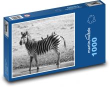 Zebra Puzzle 1000 elementów - 60x46 cm