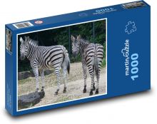 Zebras im Zoogehege Puzzle 1000 Teile - 60 x 46 cm
