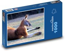 Klokan Puzzle 1000 dielikov - 60 x 46 cm 