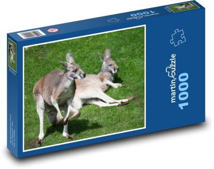 Odpočívající klokani - puzzle 1000 dílků