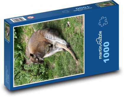 Klokan - Wallaby - Puzzle 1000 dílků, rozměr 60x46 cm