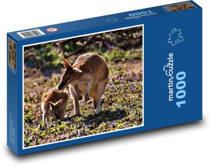 Klokan s bábätkom v prírode - Puzzle 1000 dielikov, rozmer 60x46 cm