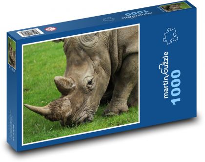 Rhino - Puzzle 1000 pieces, size 60x46 cm 
