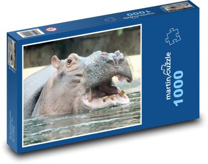 Nilpferd im Wasser mit offenem Mund - Puzzle - 1000 Teile