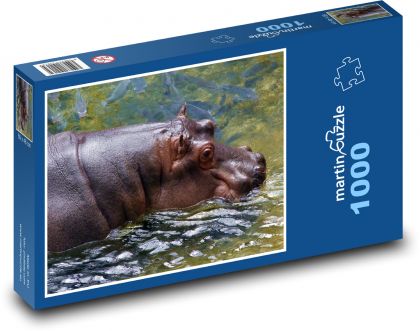 Nilpferd im Wasser schwimmen - Puzzle - 1000 Teile