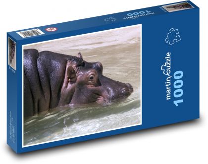 Hippo floating in water - Puzzle 1000 pieces, size 60x46 cm 