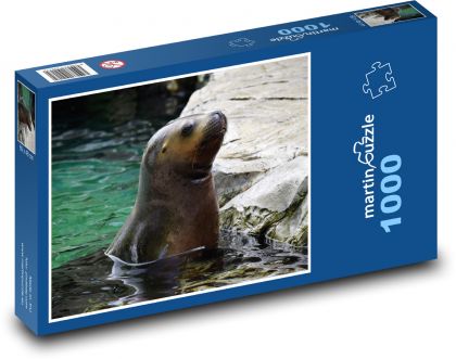 A sea lion peeping out of the water - Puzzle 1000 pieces, size 60x46 cm 