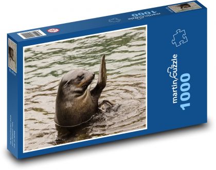 Morský lev mávajúci plutvami z vody - Puzzle 1000 dielikov, rozmer 60x46 cm