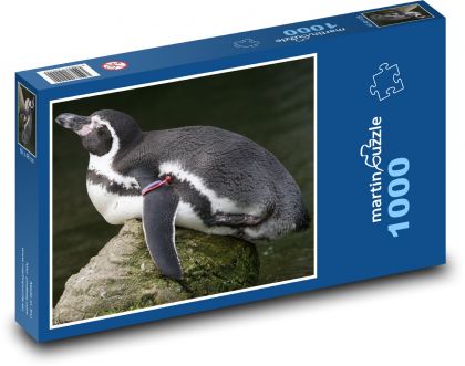 Odpoczywający pingwin - Puzzle 1000 elementów, rozmiar 60x46 cm