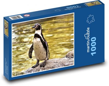 Roztomilý tučňák na skále - puzzle 1000 dílků