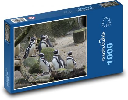 Kolonia pingwinów - Puzzle 1000 elementów, rozmiar 60x46 cm