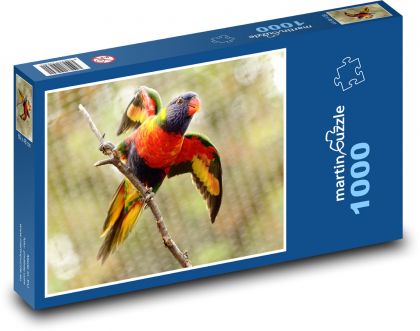 Colorful parrot with spread wings - Puzzle 1000 pieces, size 60x46 cm 