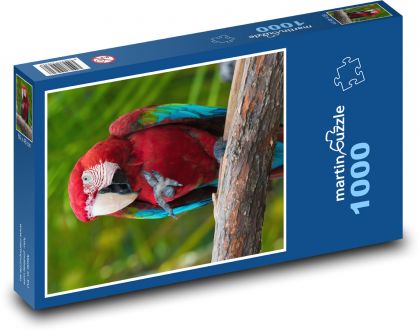 Ara červený, exotický papagáj - Puzzle 1000 dielikov, rozmer 60x46 cm
