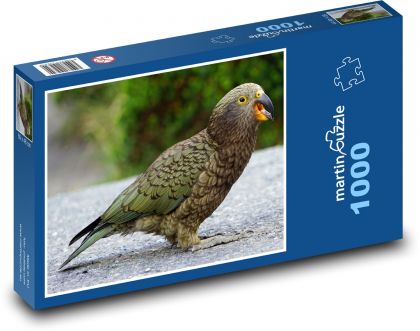 Kea, Bergpapagei - Puzzle - 1000 Teile