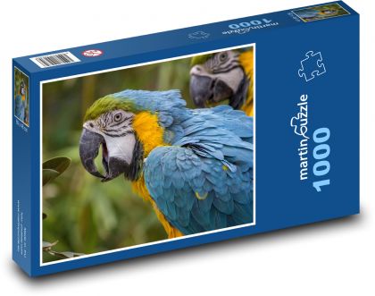 Blue-and-yellow macaw, exotic parrot - Puzzle 1000 pieces, size 60x46 cm 